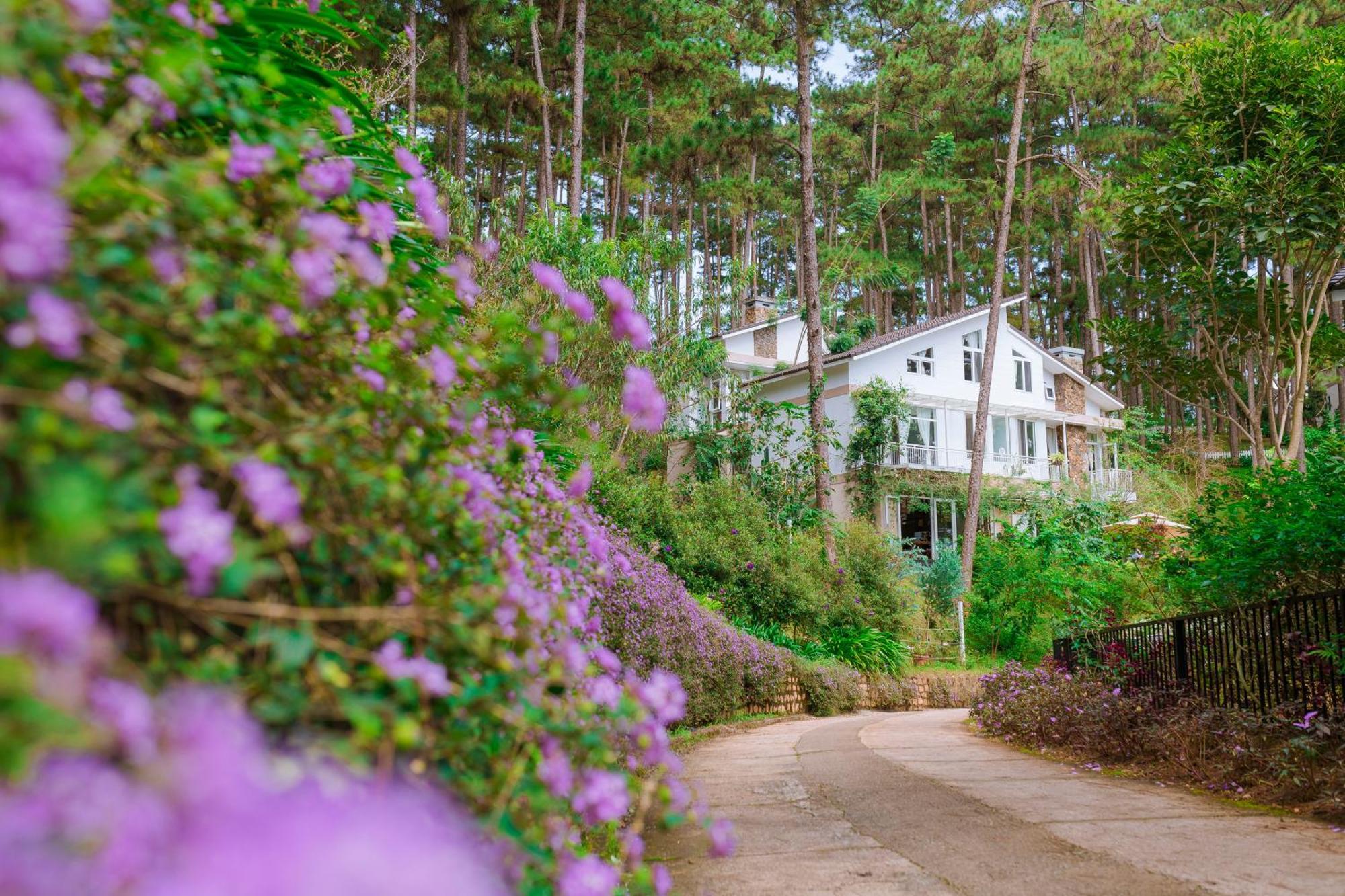 Dahlia Dalat Aparthotel Exterior photo